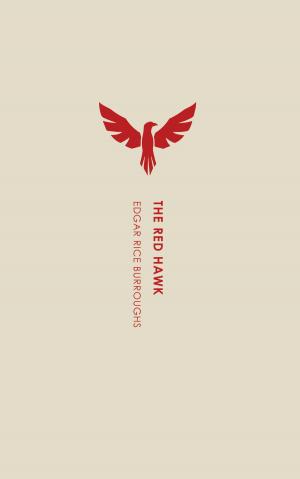 Book cover of The Red Hawk