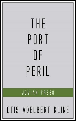 bigCover of the book The Port of Peril by 