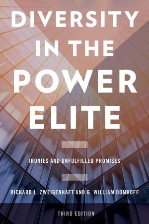 Cover of the book Diversity in the Power Elite by Steven Crook, Katy Hui-wen Hung