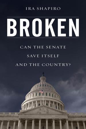 Cover of the book Broken by Susan Carol Curzon