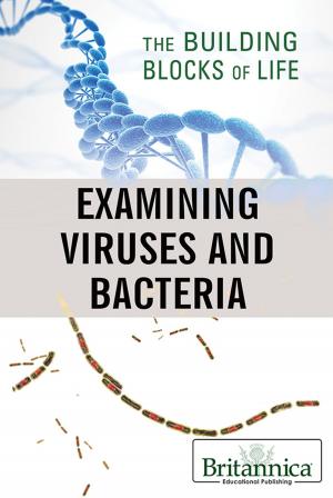 Cover of the book Examining Viruses and Bacteria by Carolyn DeCarlo