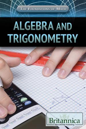 Cover of the book Algebra and Trigonometry by Jacob Steinberg