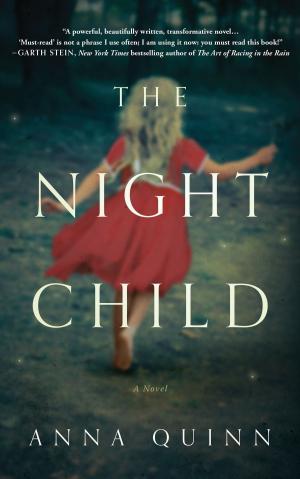 Book cover of The Night Child