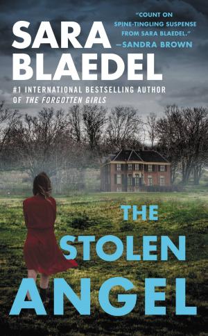 Cover of the book The Stolen Angel by Douglas R. Andrew