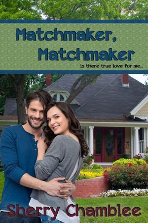 Book cover of Matchmaker, Matchmaker