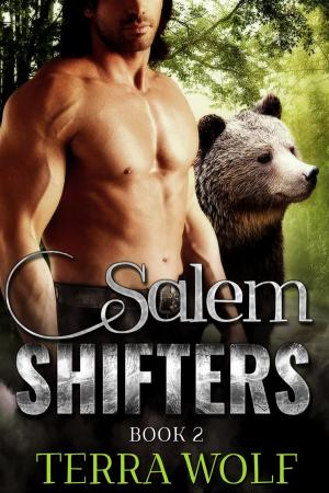 Cover of Salem Shifters Book Two
