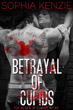Cover of the book Betrayal of Cupids by Rain Danvers