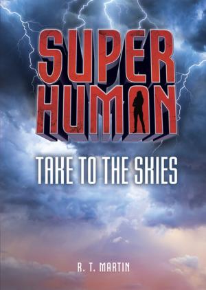 Book cover of Take to the Skies