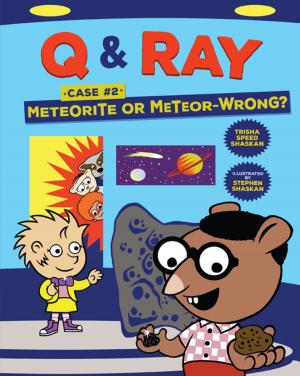 Cover of the book Meteorite or Meteor-Wrong? by Christine Seifert