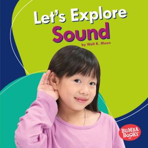 Book cover of Let's Explore Sound