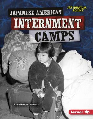 Book cover of Japanese American Internment Camps