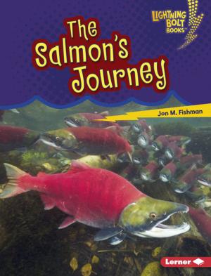 Cover of the book The Salmon's Journey by Kristin Marciniak