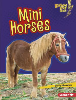 Cover of the book Mini Horses by David Zeltser