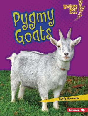 Cover of the book Pygmy Goats by Jacqueline Jules