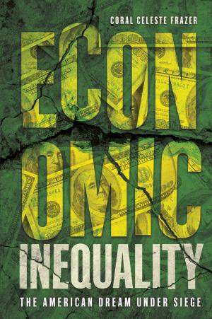 Cover of the book Economic Inequality by Chris Schweizer