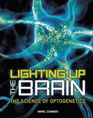 Cover of the book Lighting Up the Brain by Roseann Feldmann, Sally M. Walker
