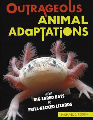 Cover of the book Outrageous Animal Adaptations by Sandy Donovan