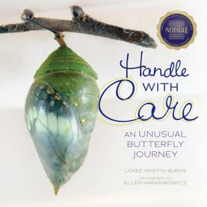Cover of the book Handle with Care by Elizabeth Karre