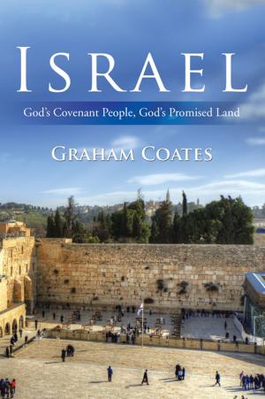 Cover of the book Israel by David Lucas