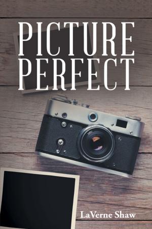 Cover of the book Picture Perfect by Frank Kelly