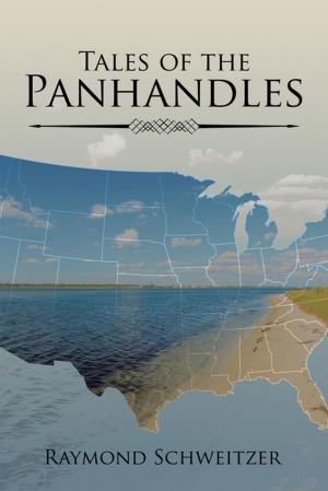 Cover of the book Tales of the Panhandles by Fritz Wolf