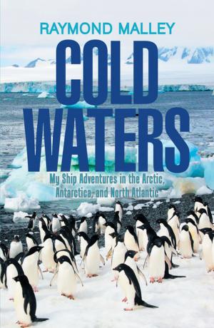 Cover of the book Cold Waters by Faye Westlake Newman