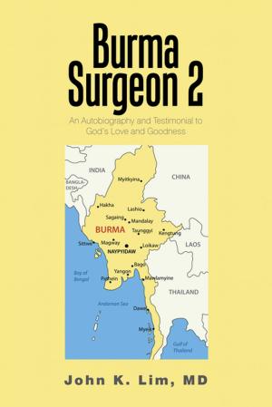 Cover of the book Burma Surgeon 2 by Linda Felton