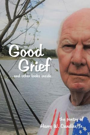 Cover of the book Good Grief by D. Chongo Mundende