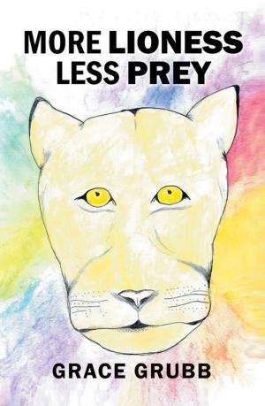 Cover of the book More Lioness Less Prey by Gabriel Emanuel