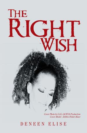 Cover of the book The Right Wish by Hope J. Springs