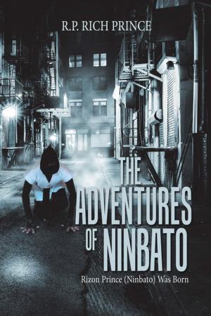 Cover of the book The Adventures of Ninbato by Clark WM. Colepaugh