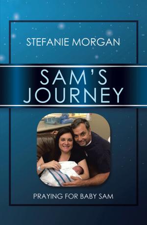 Cover of the book Sam’S Journey by Richard C. Demeritte