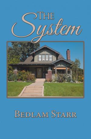 Cover of the book The System by Betty Wagner Loeb
