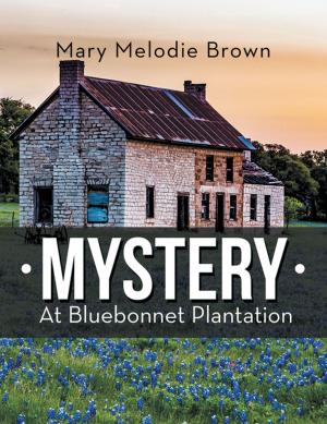 Cover of the book Mystery at Bluebonnet Plantation by Jessica Evelyn