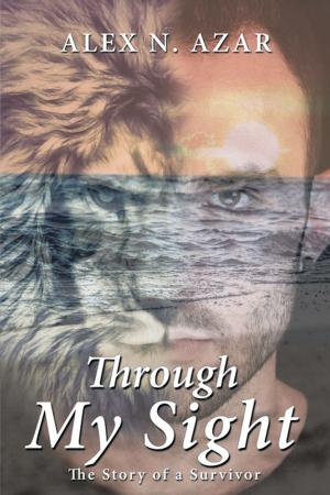 Cover of the book Through My Sight by Mary Ellen Bauer