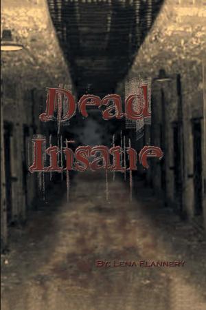 Cover of the book Dead Insane by NK Wood