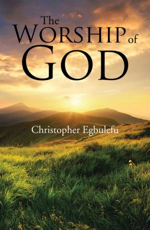 Cover of the book The Worship of God by Brigitte Goldstein