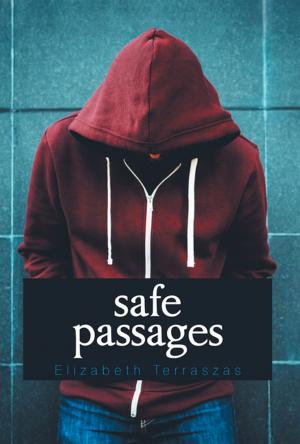 Cover of the book Safe Passages by Hugo D. Menendez
