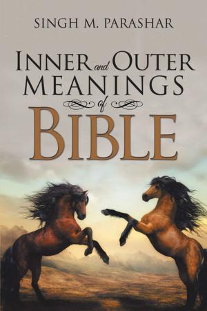 Cover of the book Inner and Outer Meanings of Bible by Jim Strickland