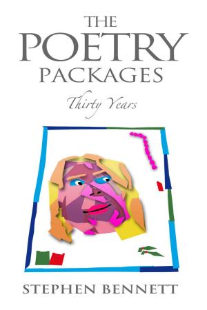 Cover of the book The Poetry Packages by Catherine M. Simone