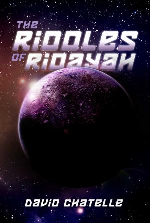 Cover of the book The Riddles of Ridayah by B Jo Hickman