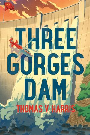 Cover of the book Three Gorges Dam by T. Jerome Miller