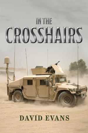 Cover of the book In the Crosshairs by Cheryl Holt