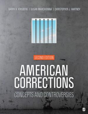 Cover of the book American Corrections by Dr. Robert E. Emery