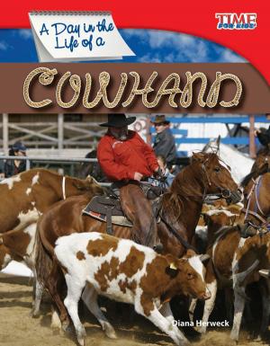 Book cover of A Day in the Life of a Cowhand