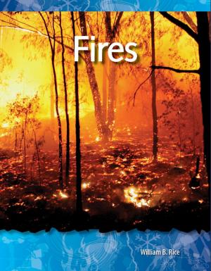 Cover of the book Fires by Dianne Irving