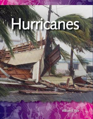 Book cover of Hurricanes