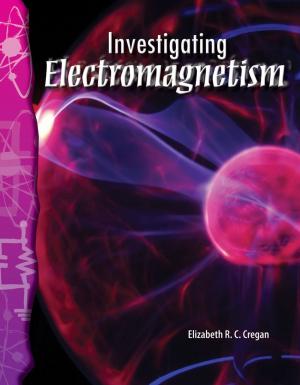 Book cover of Investigating Electromagnetism