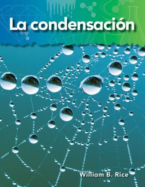 Book cover of La condensación