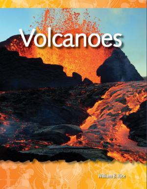 Cover of the book Volcanoes by William B. Rice